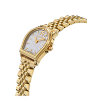 Load image into Gallery viewer, AIGNER WATCH | AIG20 - ARWLG4810001
